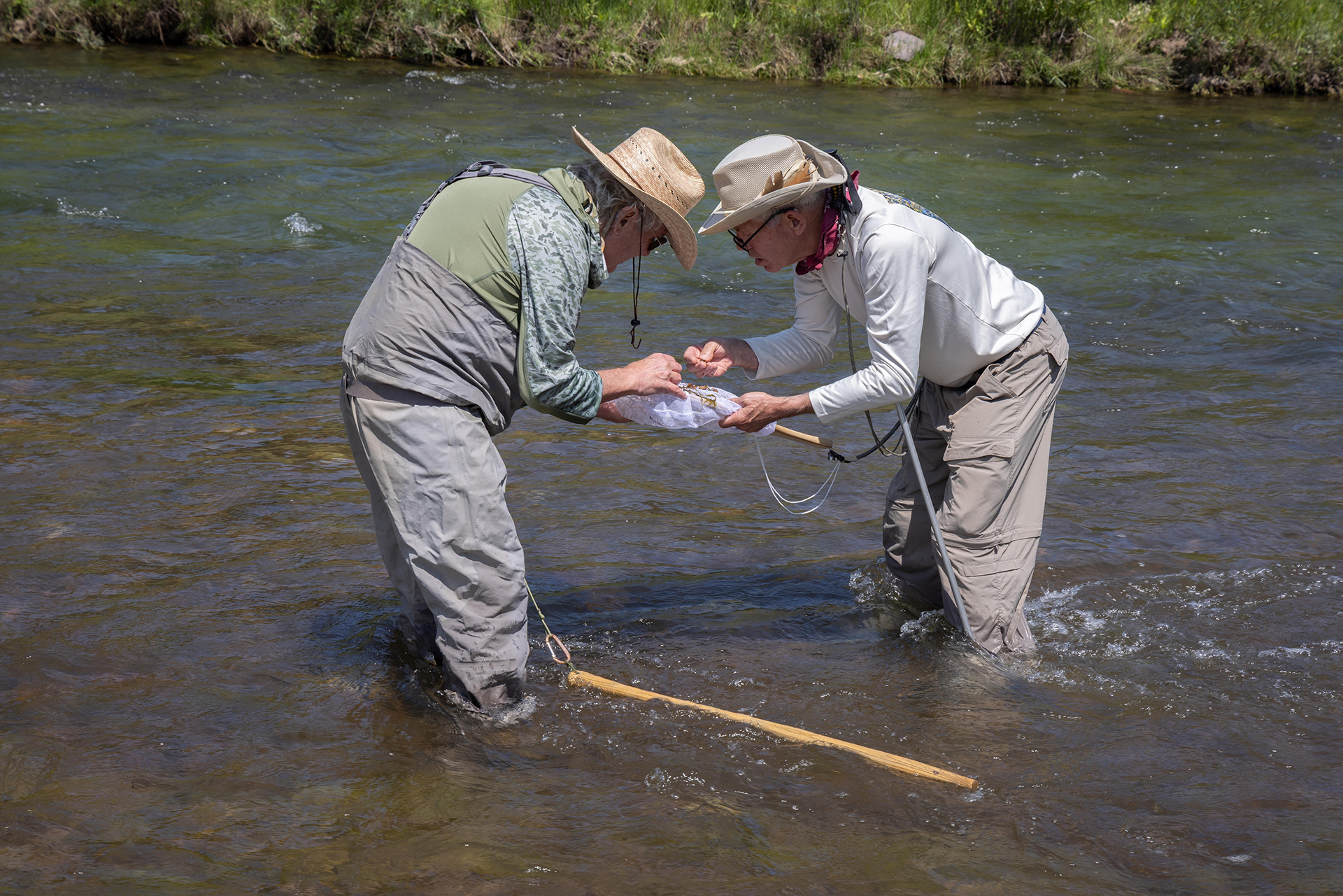 [team] image of a chef team member (for a japanese restaurant)