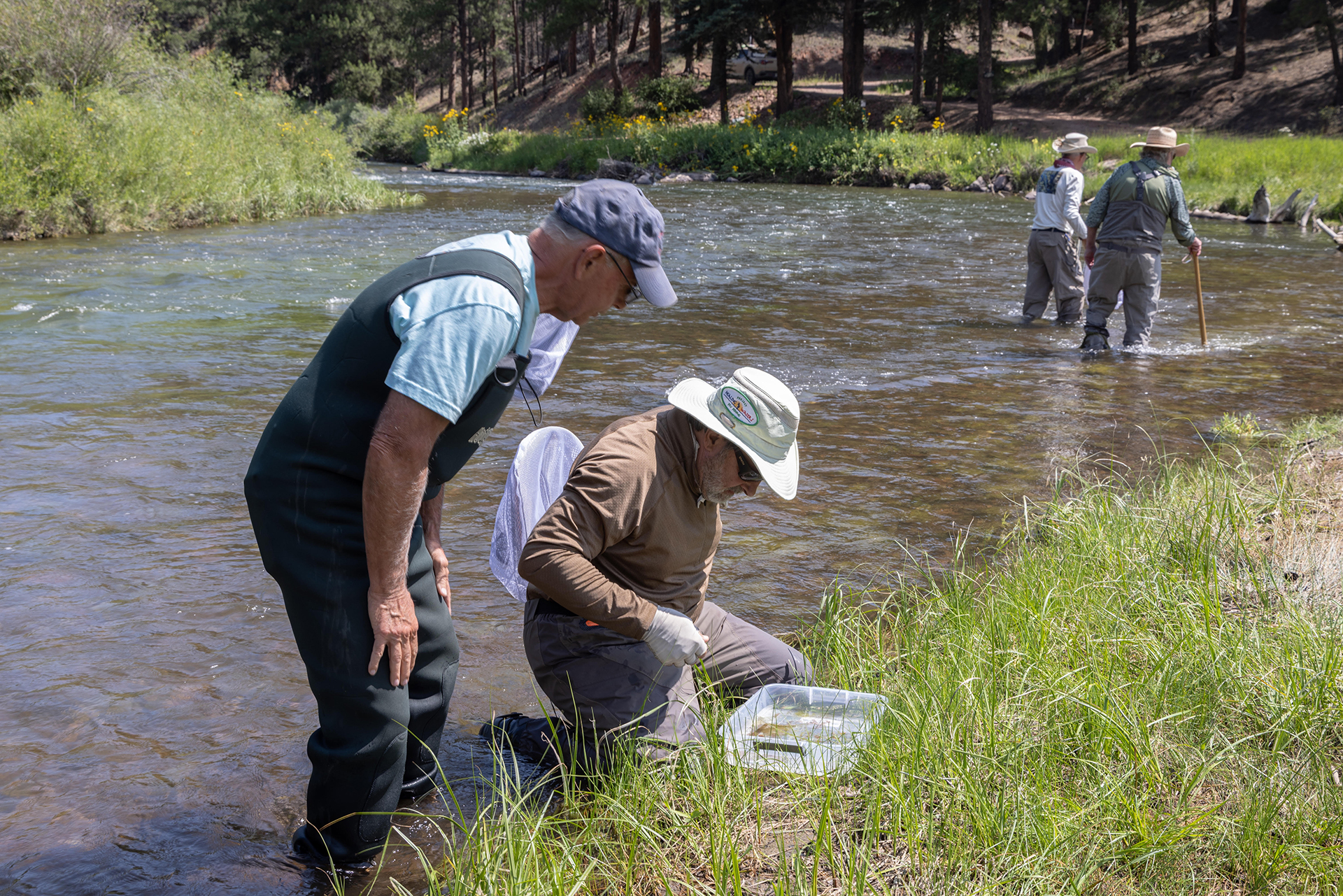 [team] image of a chef team member (for a japanese restaurant)