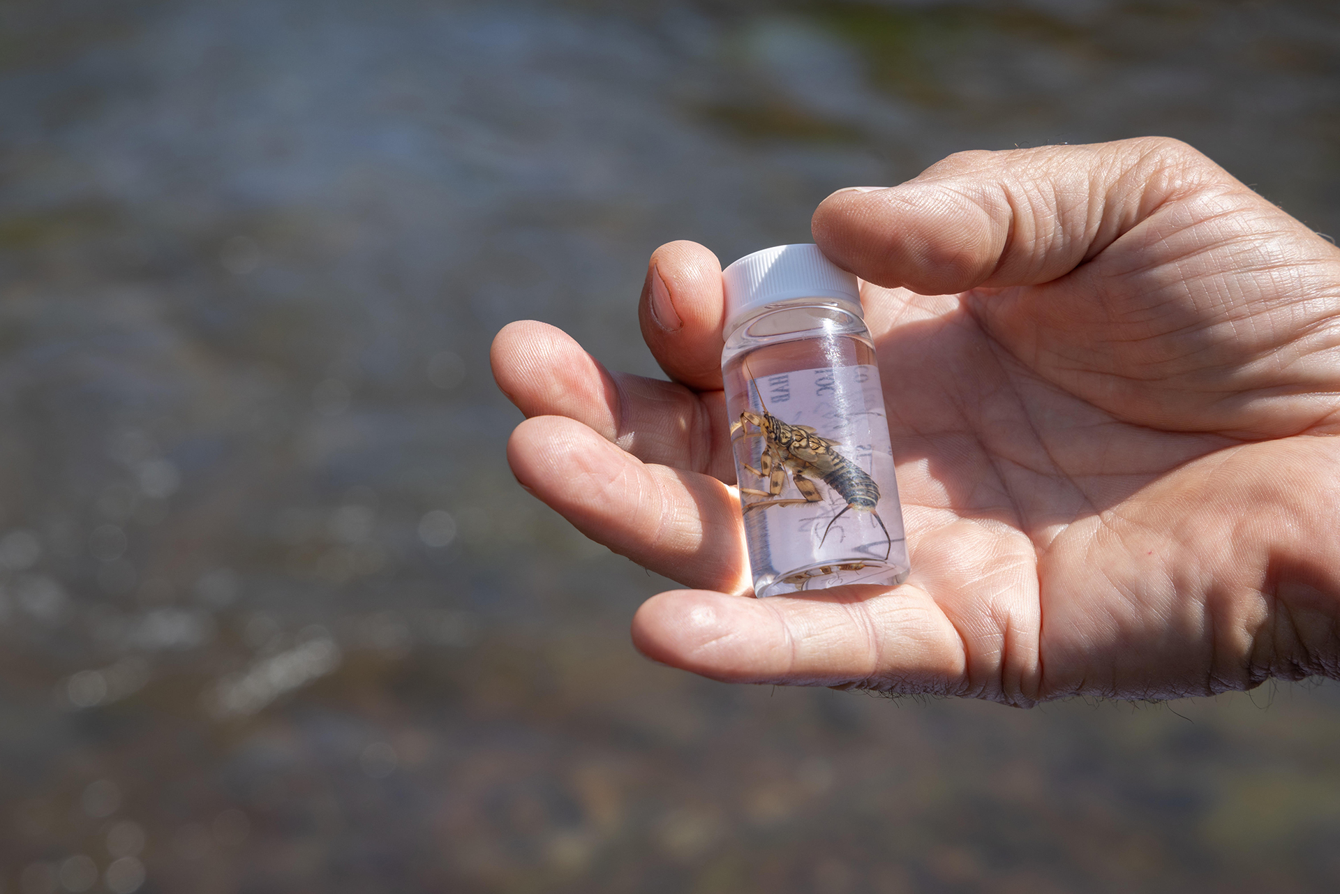image of a tranquil lakeside setting for a travel agency