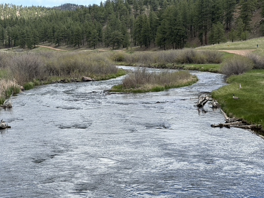 [team] image of a chef team member (for a japanese restaurant)