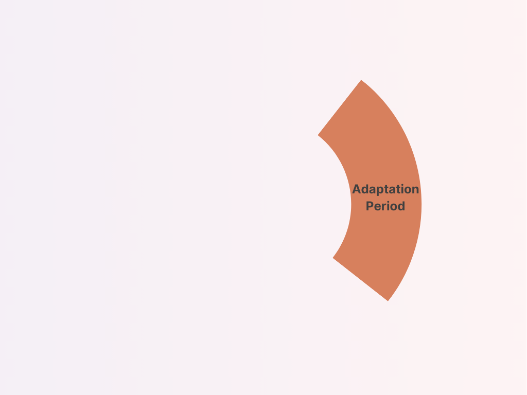 The image shows an orange curved banner with the text "adaptation period" on a light background.