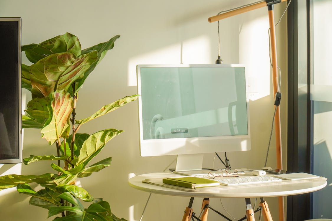 A bright, sunlit workspace featuring a white computer monitor with a keyboard and mouse on a round table, a large potted plant to the left, and a floor lamp with an adjustable arm behind the monitor, by a window with sheer curtains.