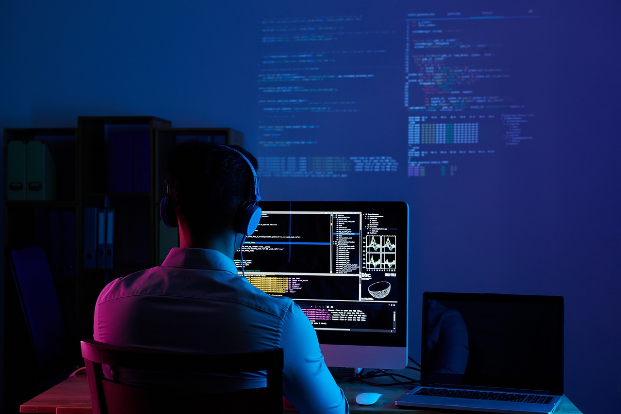 Desarrollador De Software