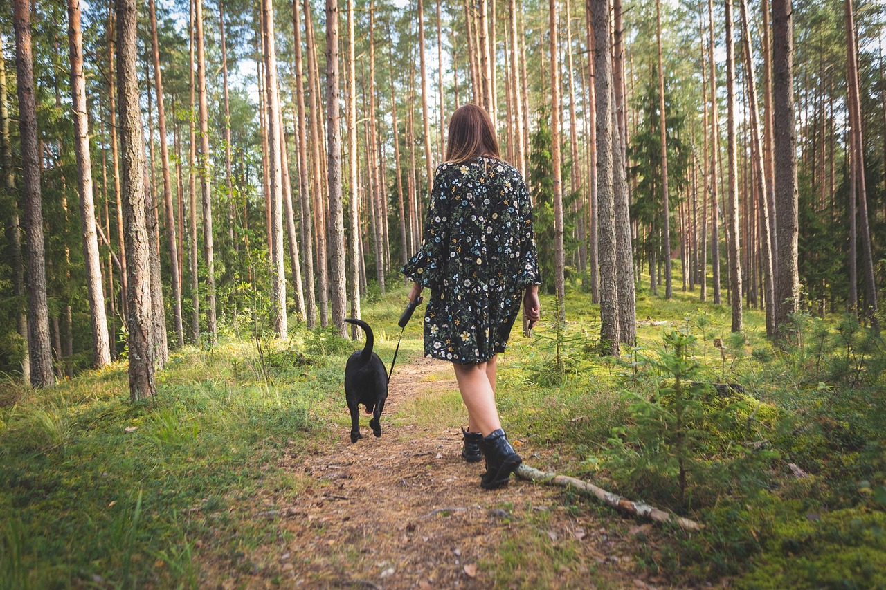 Perro, Naturaleza, Bosque, Paisaje