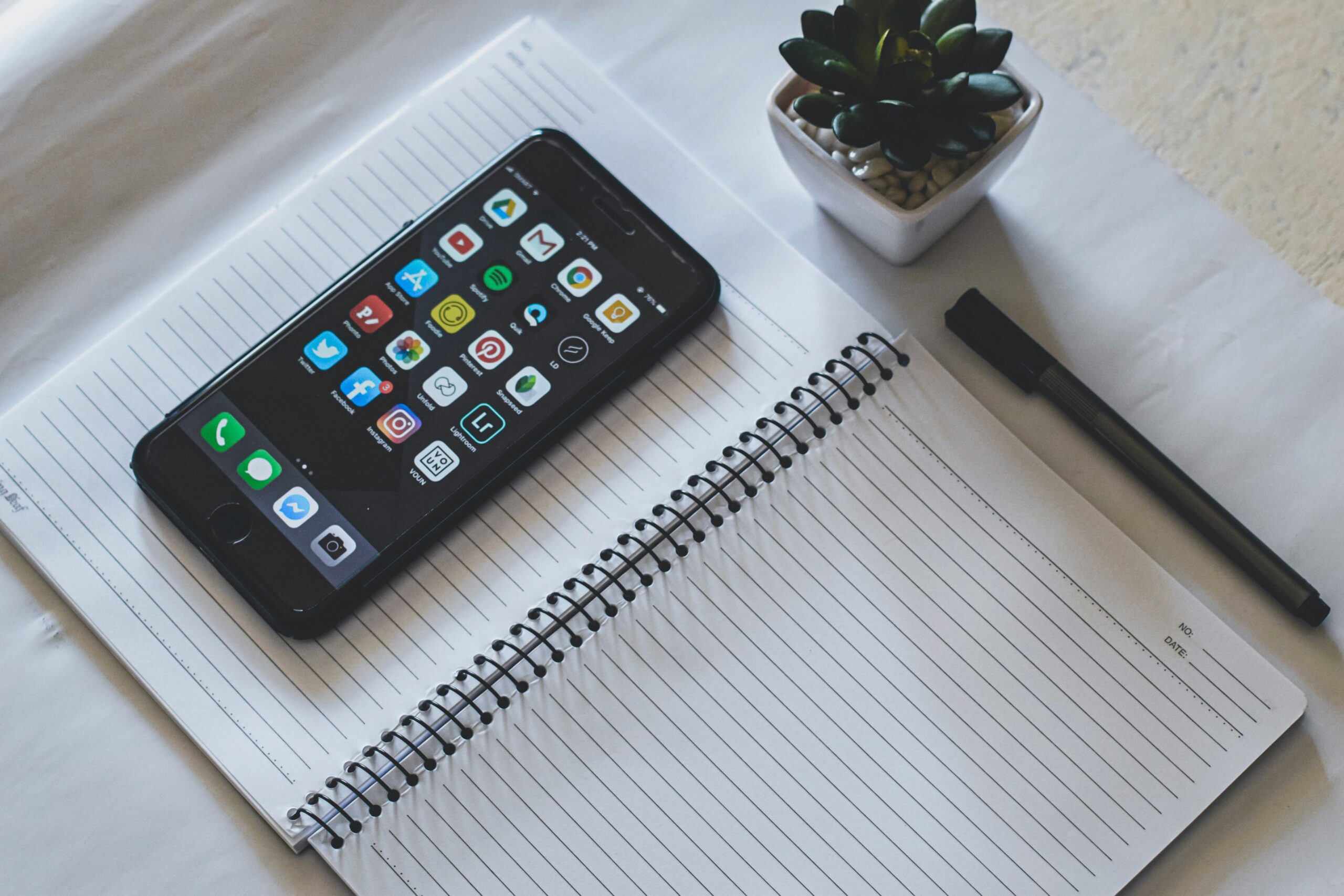 Smartphone on top of an open notebook beside a small potted succulent.
