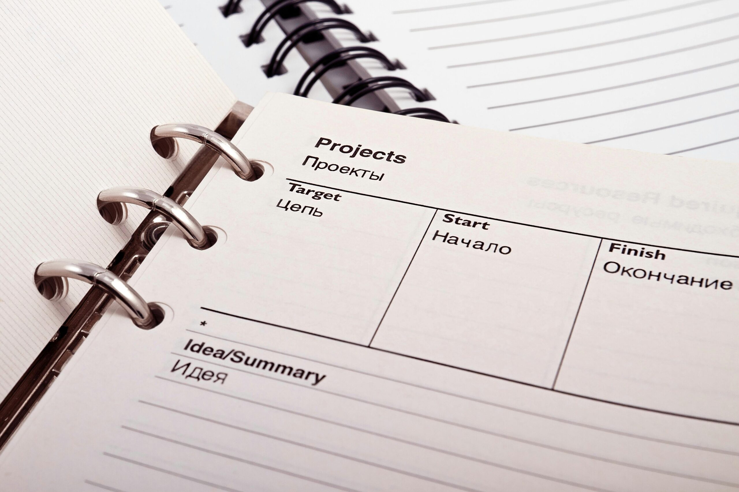 Project manager skills set shown in a detailed project planner with sections for targets and timelines.