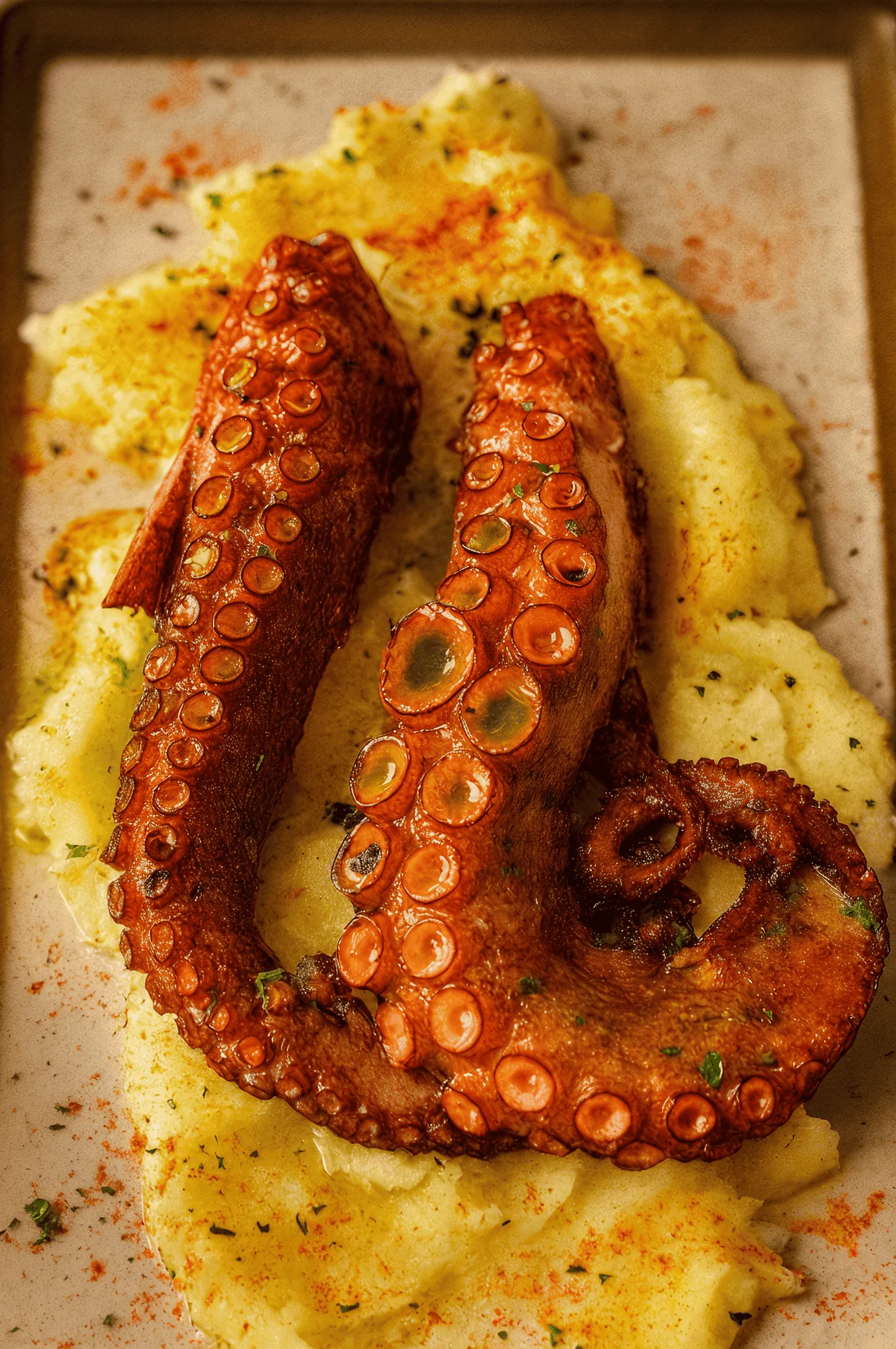 Grilled octopus tentacles on creamy yellow mashed potatoes with spices