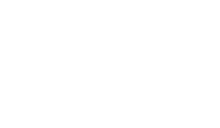 Hey Dude logo