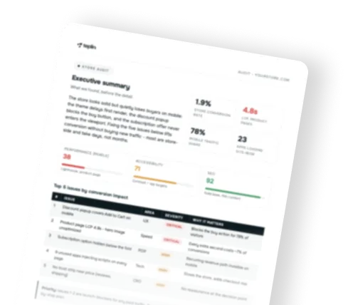 Shopify store audit preview