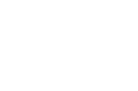 Feelz logo