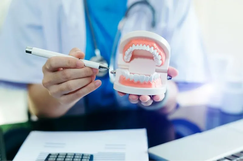 A dentist holding an anatomical jaw model and using a pen to explain dental conditions or treatment options during a patient consultation.