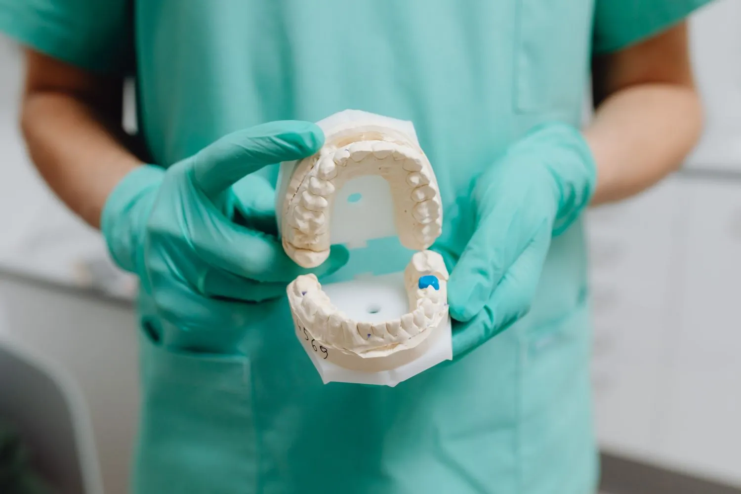 A dental professional in green scrubs holding an open orthodontic model to illustrate bite structure and jaw alignment.