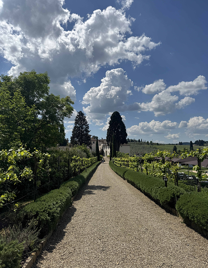 Tuscan countryside path and cypress trees, reflecting destination wedding inspiration in Italy