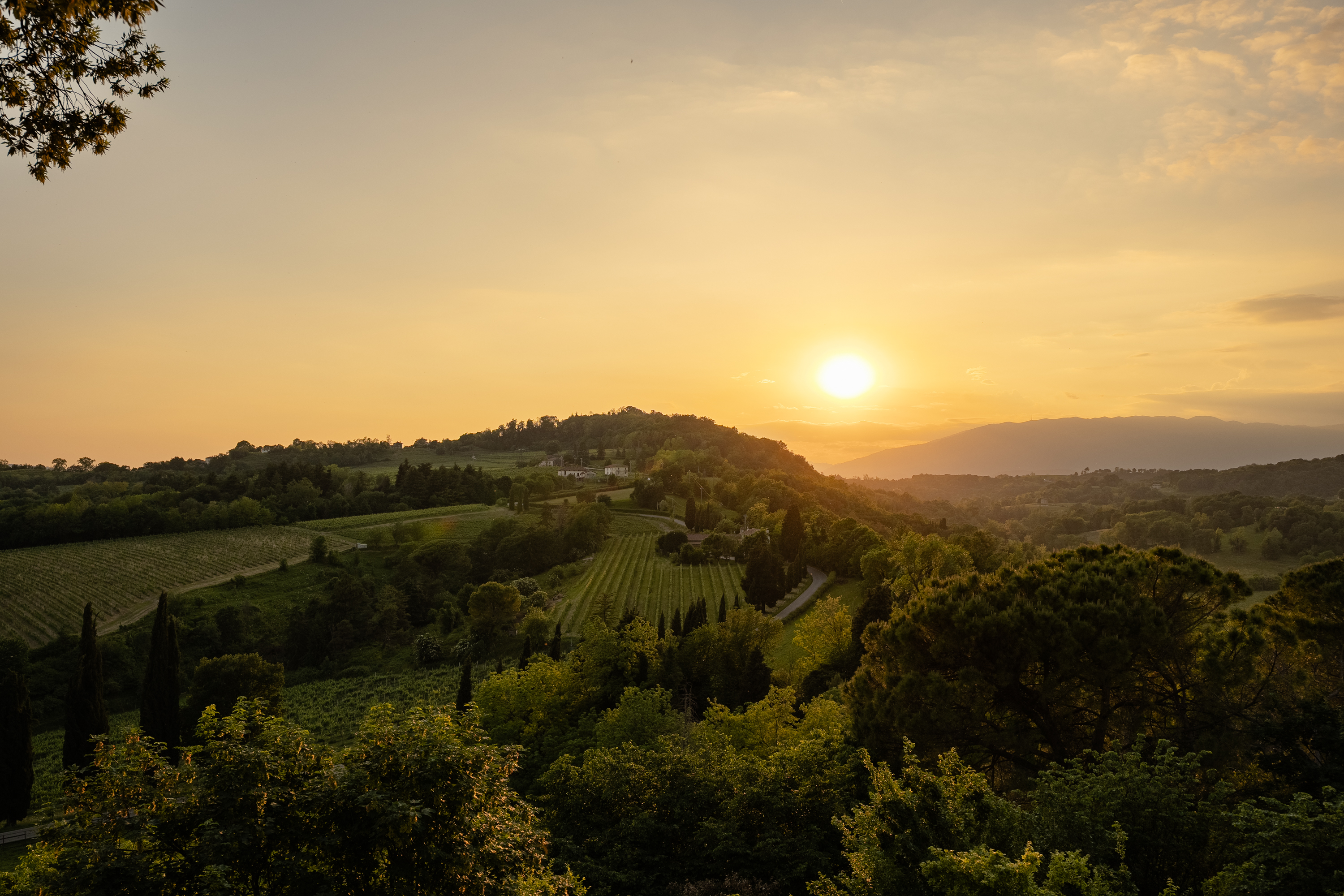 Italian countryside landscape for a destination wedding in Italy