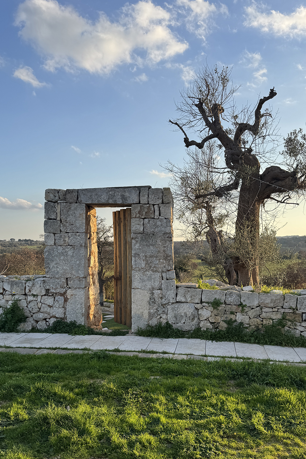 Stone doorway and olive tree at a masseria wedding venue in Puglia