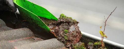 Gutter cleaning services offered by Diamond Landscape & Design, serving Niagara County.