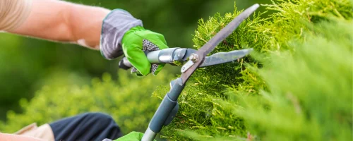 Trimming & bed maintenance services offered by Diamond Landscape & Design, serving Niagara County.