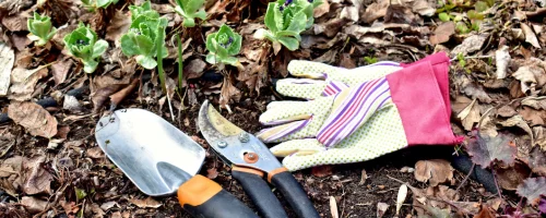 Spring cleaning services offered by Diamond Landscape & Design, serving Niagara County.