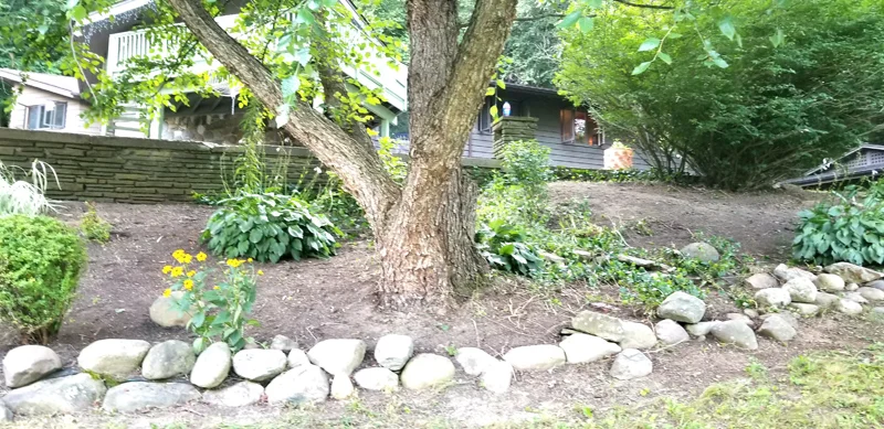 Backyard oasis completed by Diamond Landscape & Design.