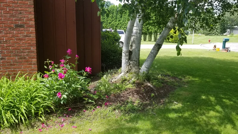 Garden oasis project completed by Diamond Landscape & Design.