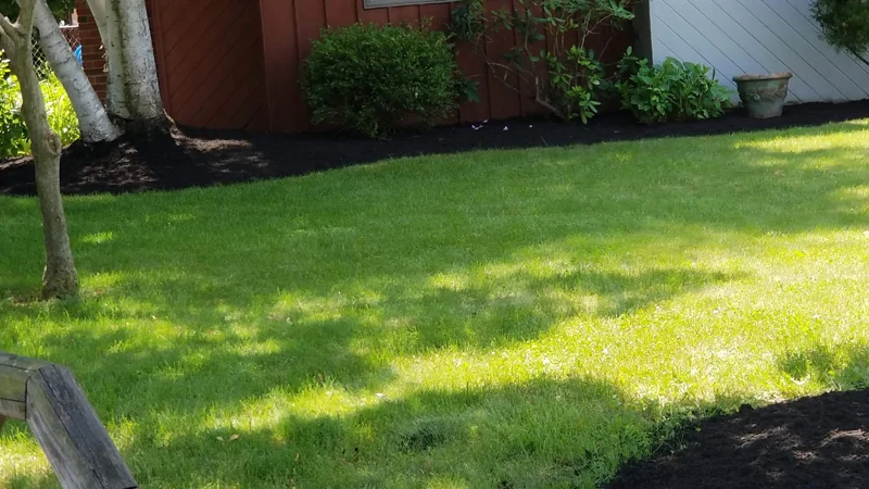 Garden oasis project completed by Diamond Landscape & Design.