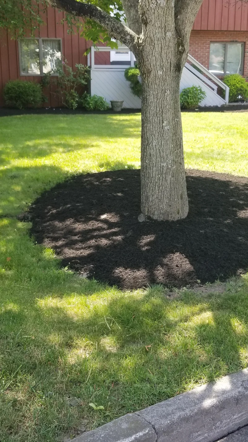 Garden oasis project completed by Diamond Landscape & Design.