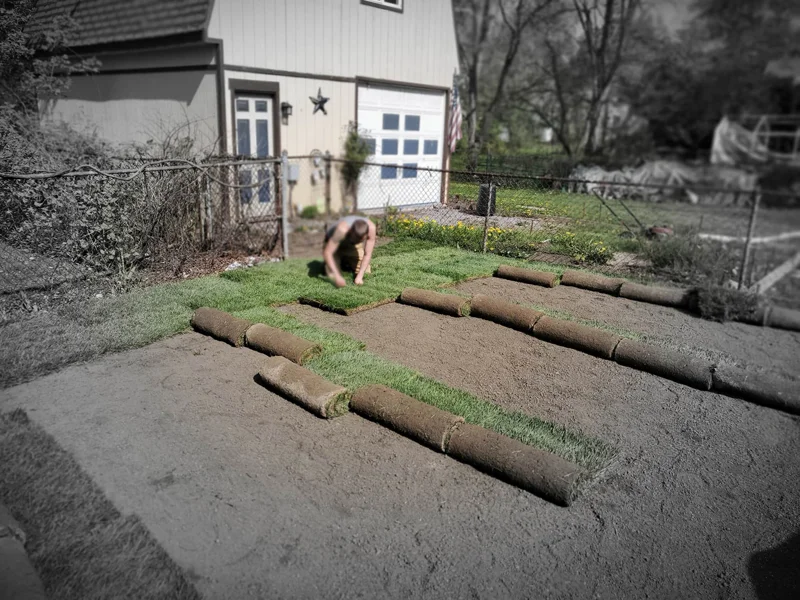 Sod installation project completed by Diamond Landscape & Design.