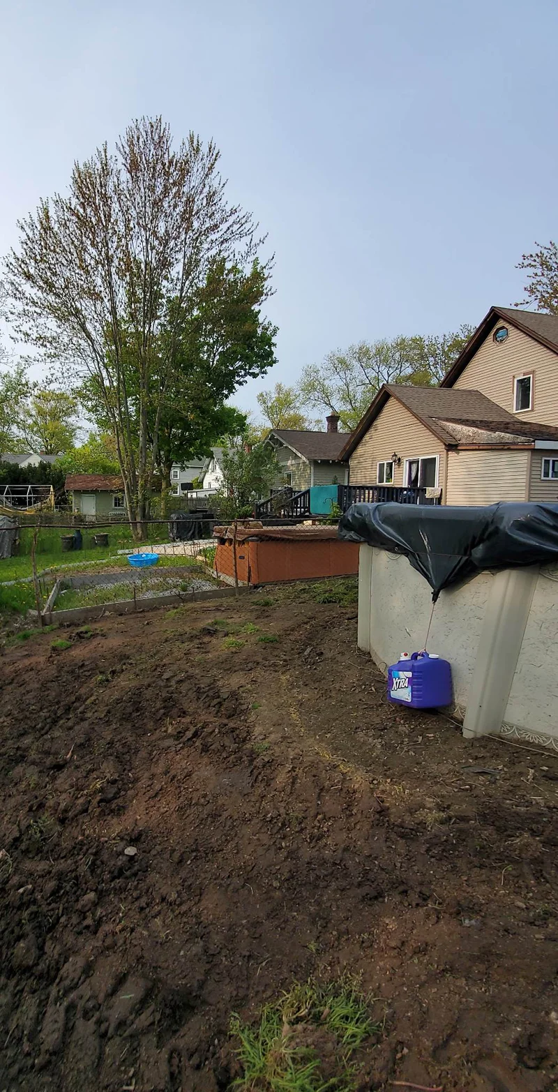 Sod installation project completed by Diamond Landscape & Design.