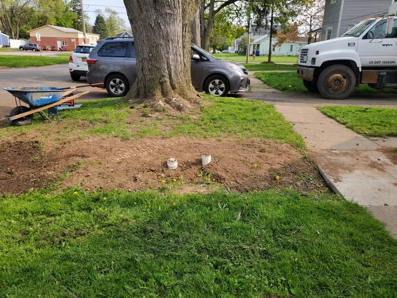 Sod installation project completed by Diamond Landscape & Design.