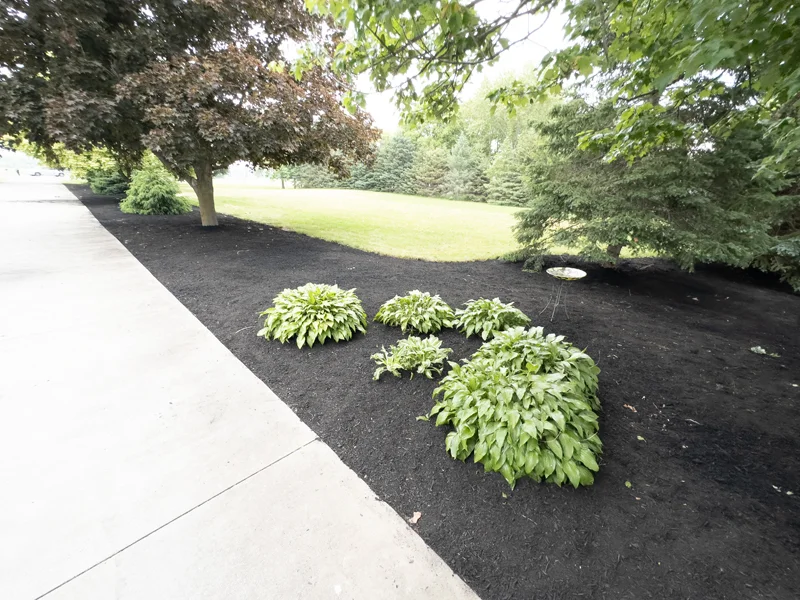 Landscaping project completed by Diamond Landscape & Design.