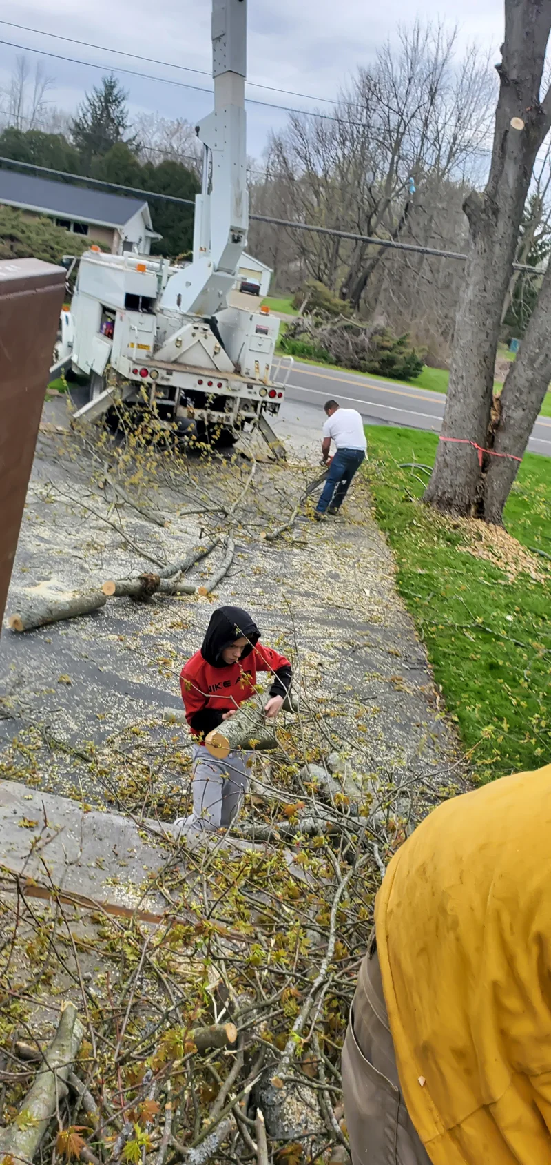 Tree removal completed by Diamond Landscape & Design.