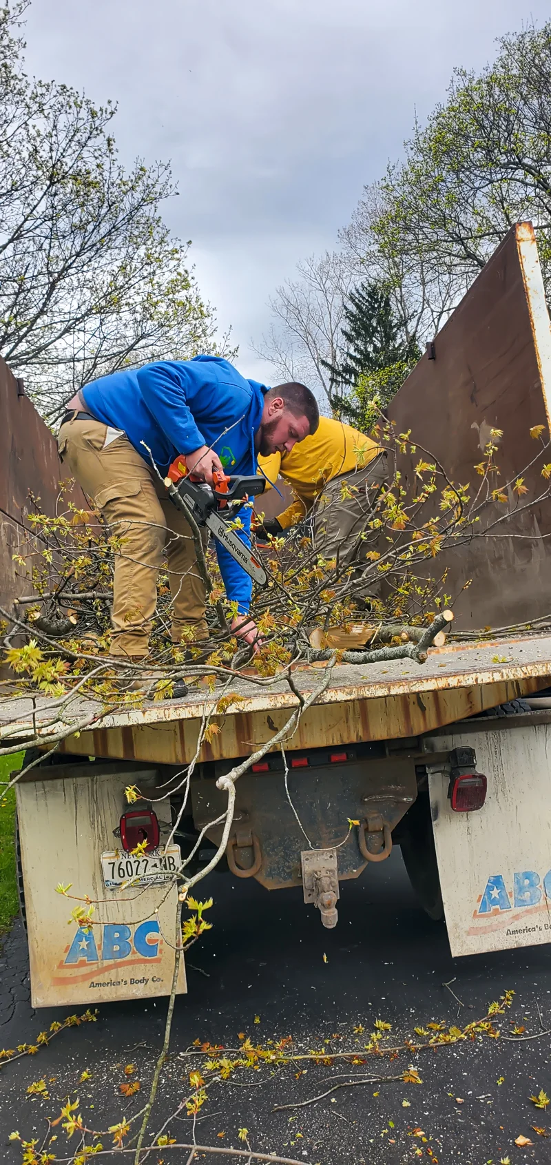 Tree removal completed by Diamond Landscape & Design.