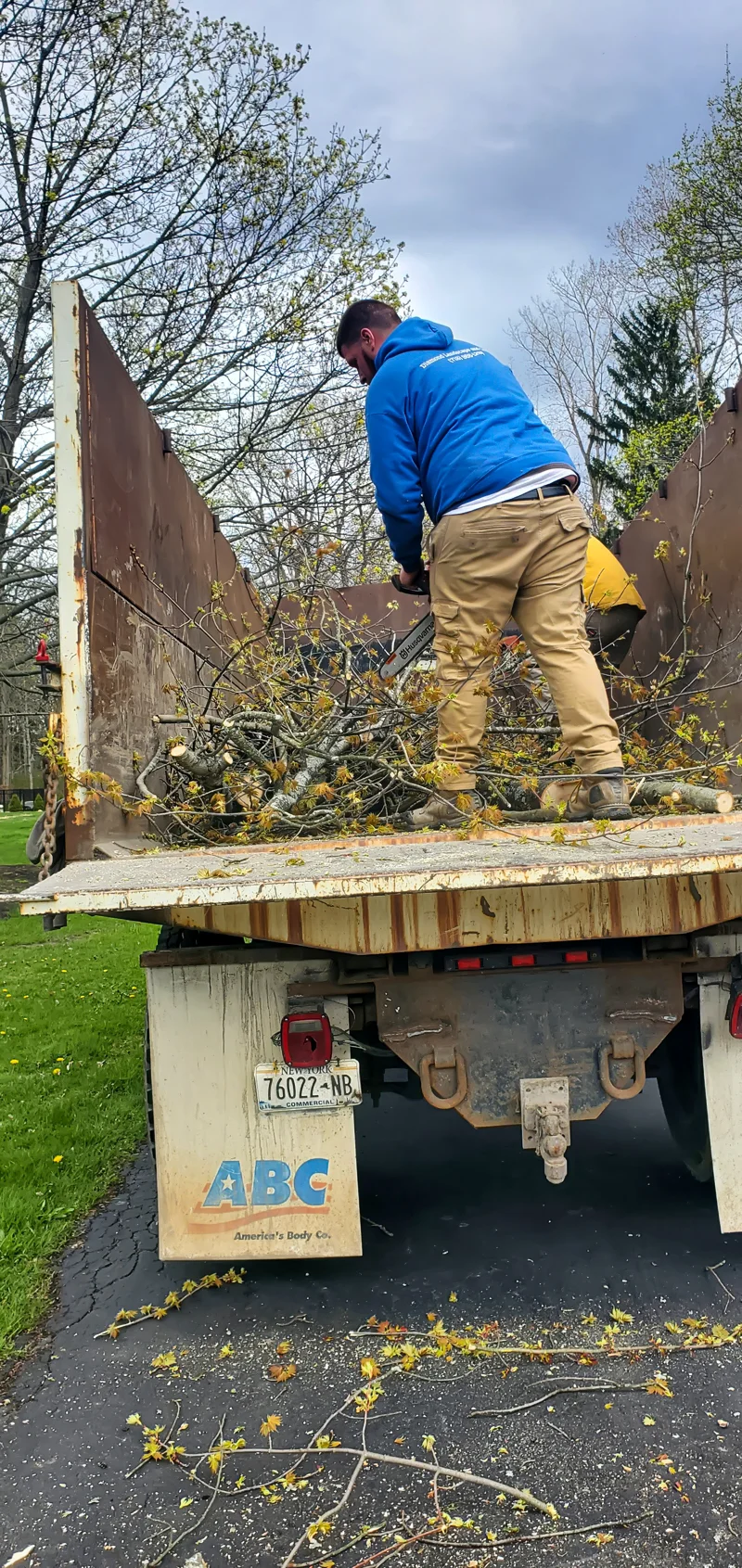 Tree removal completed by Diamond Landscape & Design.