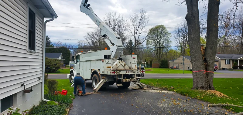 Tree removal completed by Diamond Landscape & Design.