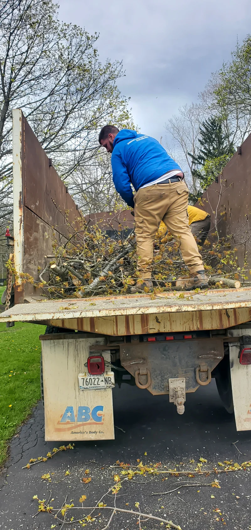 Tree removal completed by Diamond Landscape & Design.