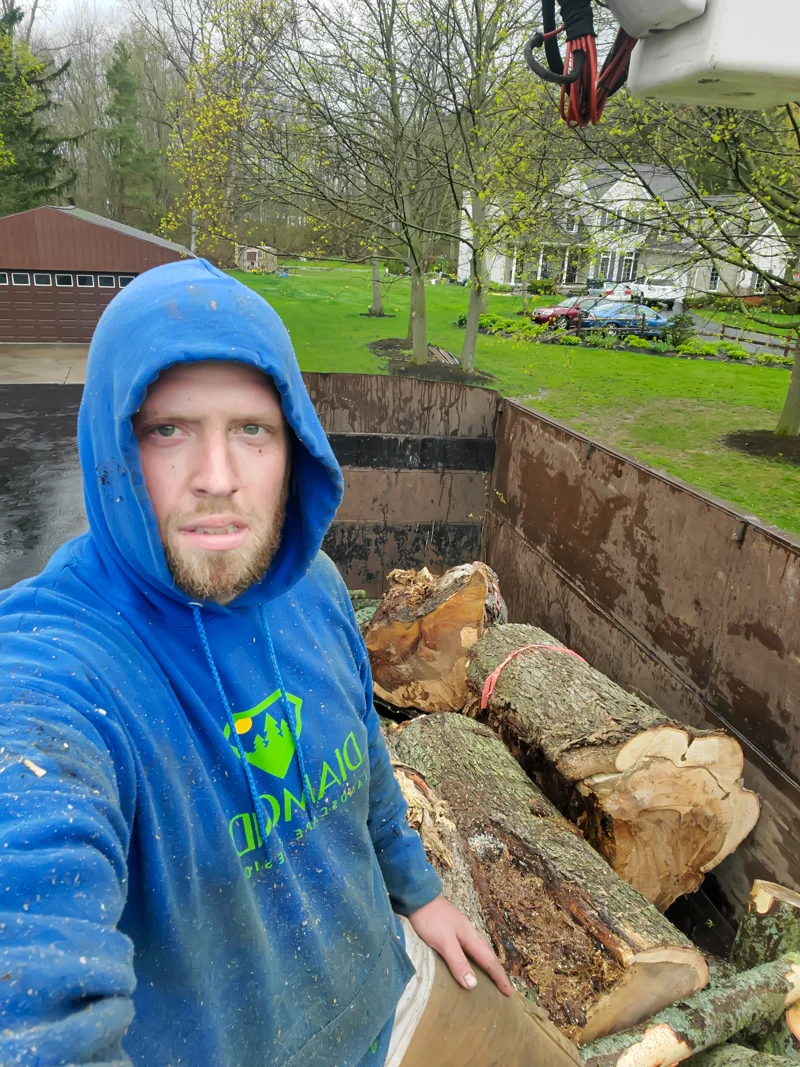 Tree removal completed by Diamond Landscape & Design.