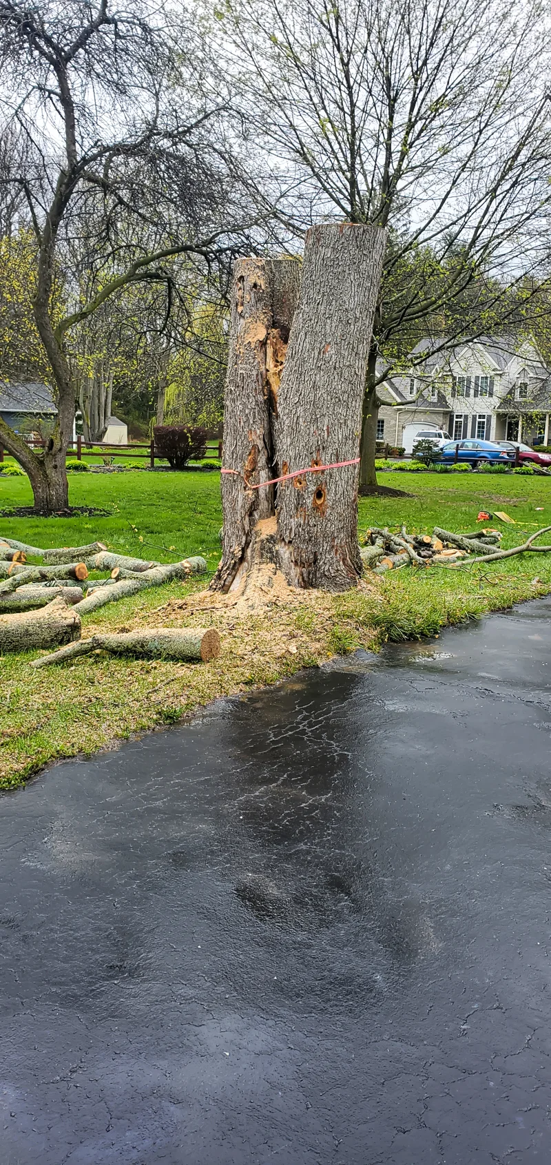Tree removal completed by Diamond Landscape & Design.