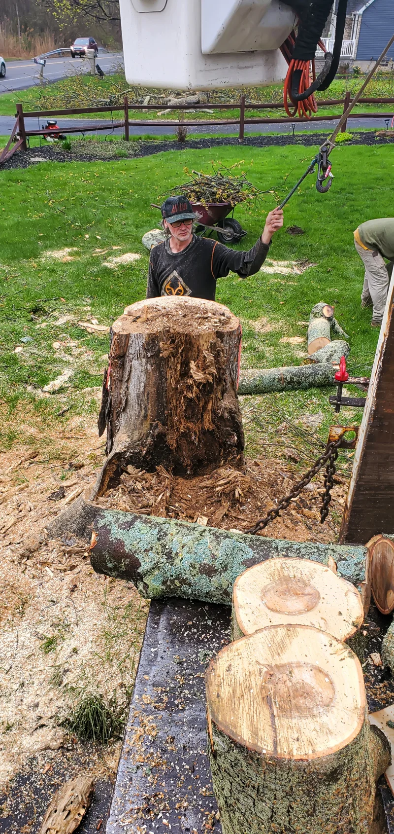 Tree removal completed by Diamond Landscape & Design.