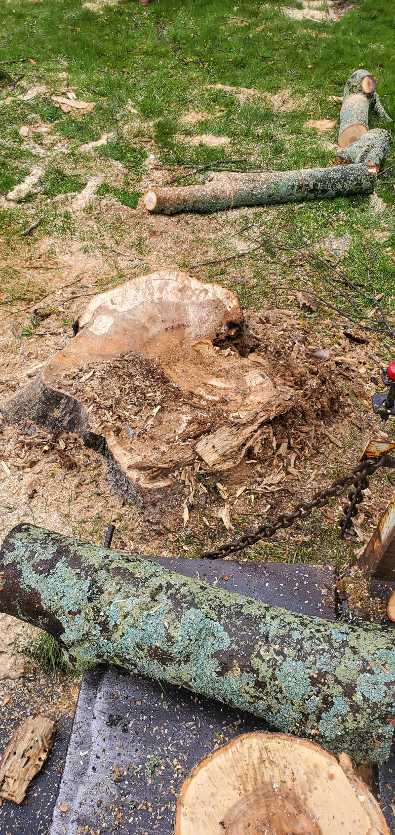Tree removal completed by Diamond Landscape & Design.