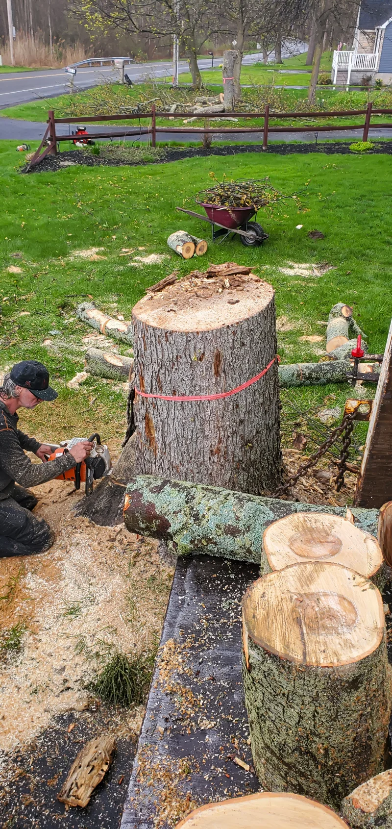 Tree removal completed by Diamond Landscape & Design.