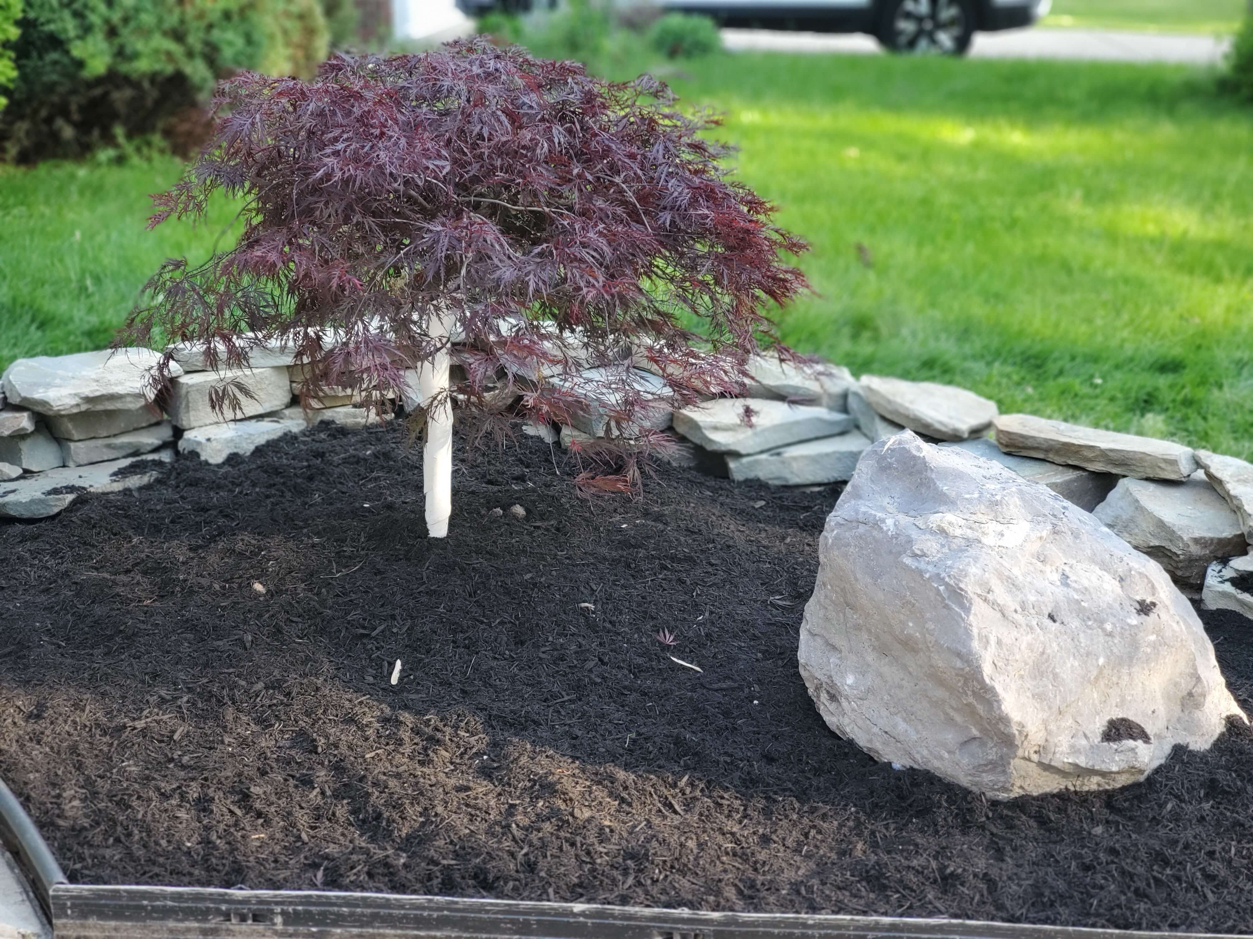 Landscaping project completed by Diamond Landscape & Design