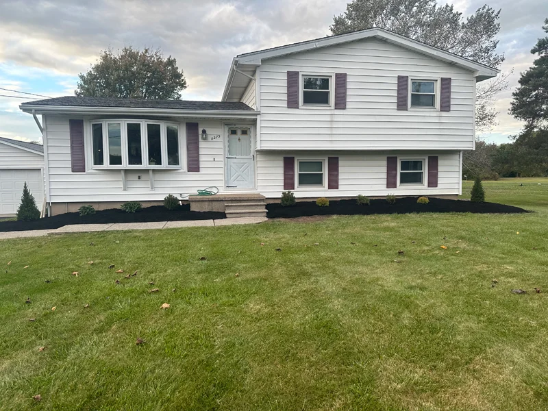 Bush removal project completed by Diamond Landscape & Design.