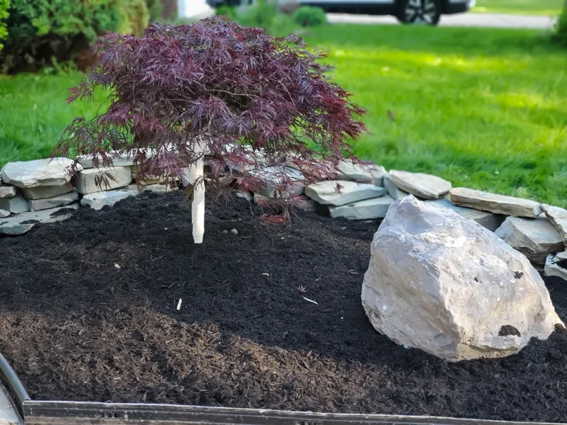 Landscaping project completed by Diamond Landscape & Design, serving neighborhoods across Niagara County and WNY.