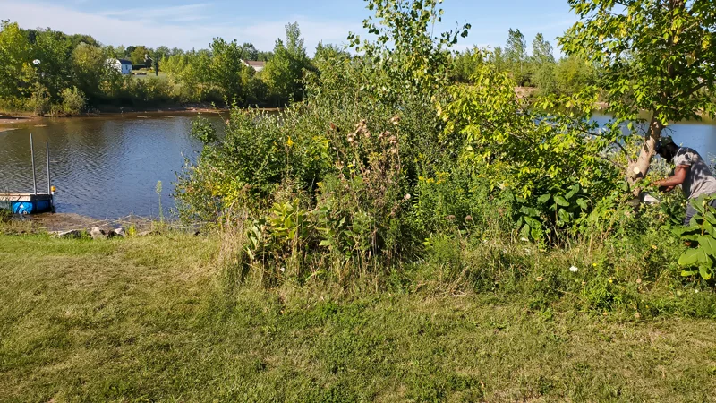 Clearing of riverside terrain with an excavator.