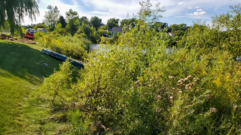 Clearing of riverside terrain with an excavator.