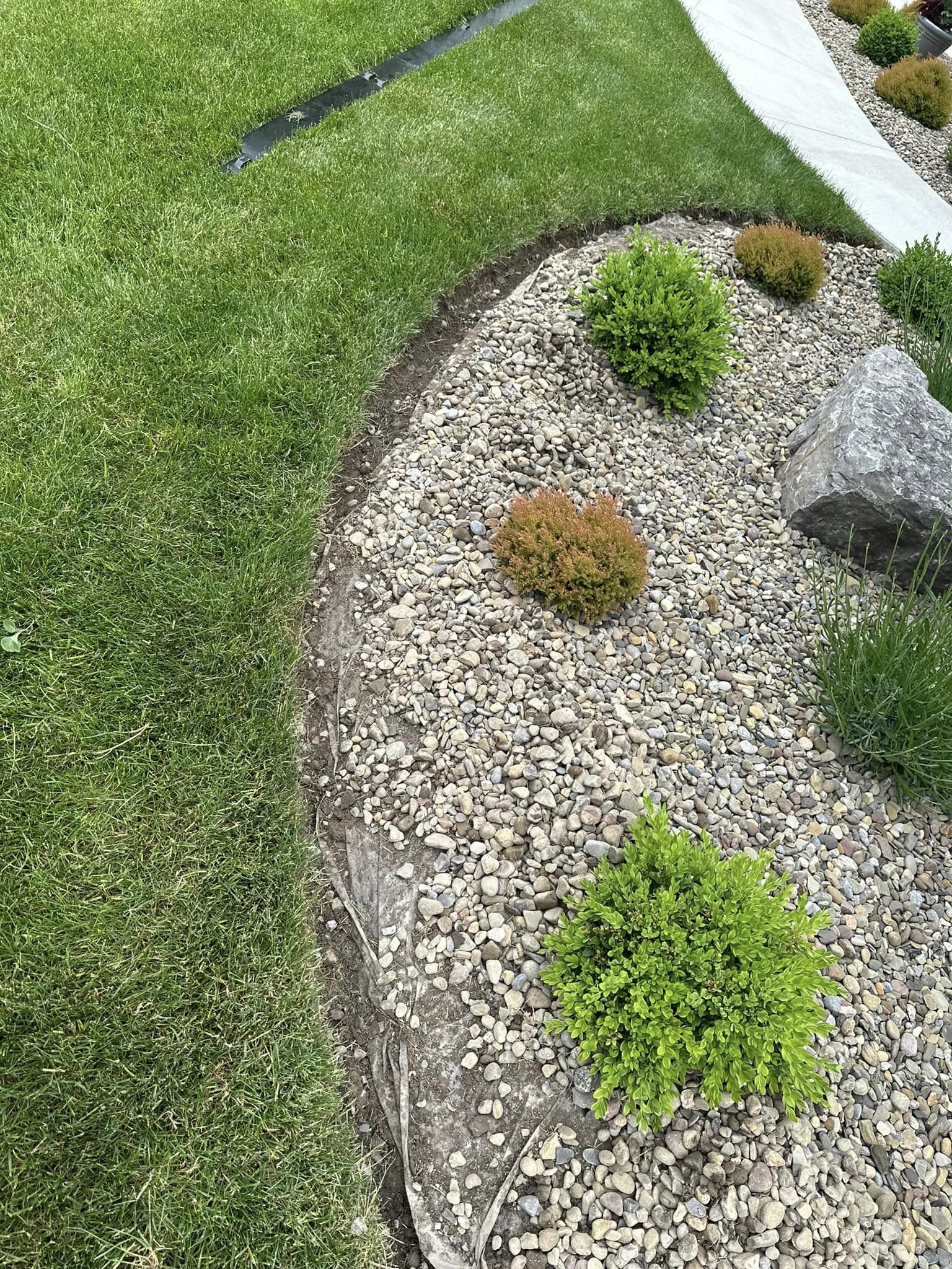 A curved garden edge with steel edging separating a grass lawn from a bed of rocks and small green shrubs. Tools are visible on the grass.
