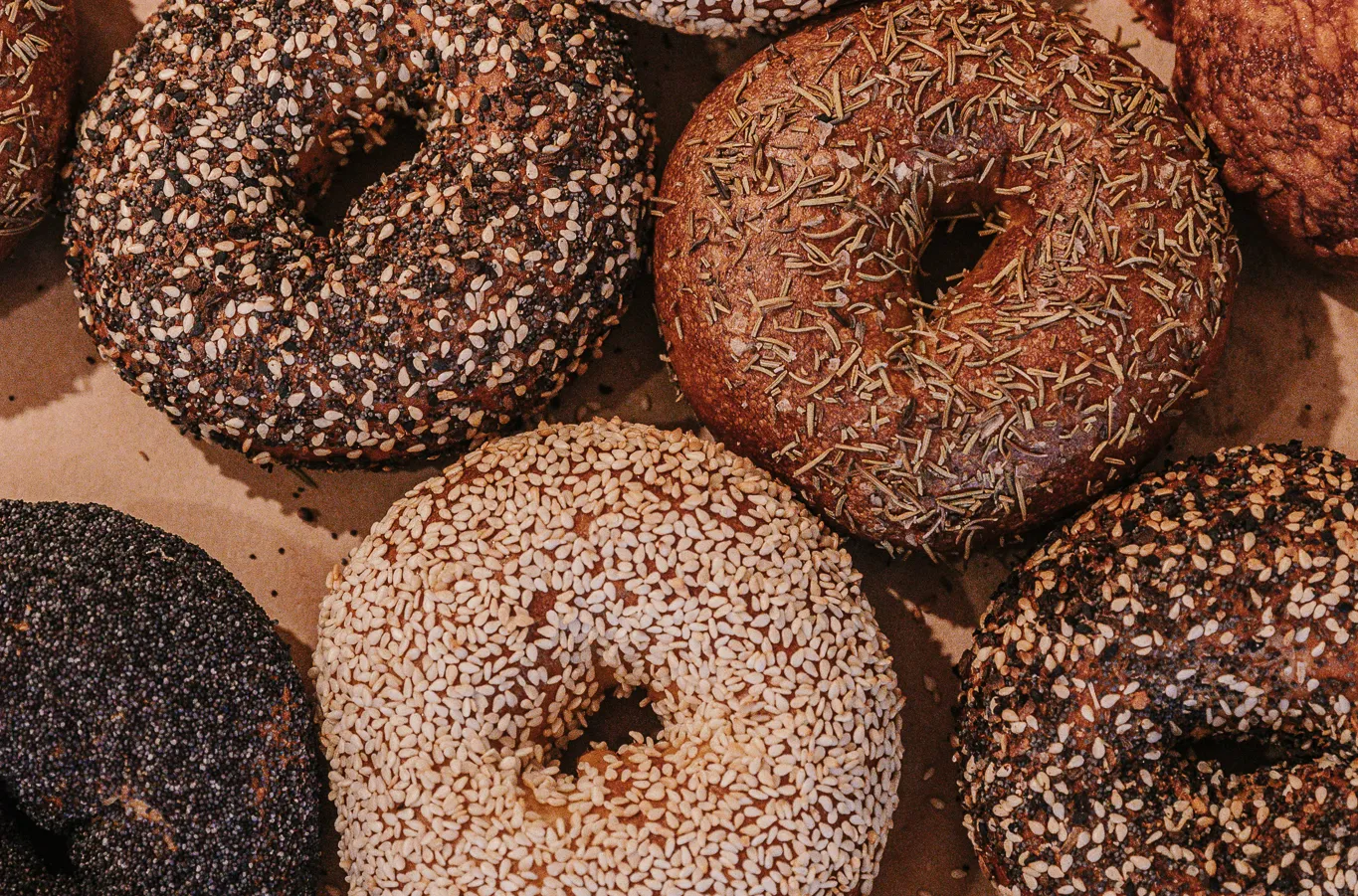 An overhead, close-up shot of an assortment of fresh bagels, including everything, sesame seed, poppy seed, and rosemary varieties, resting on brown parchment paper.