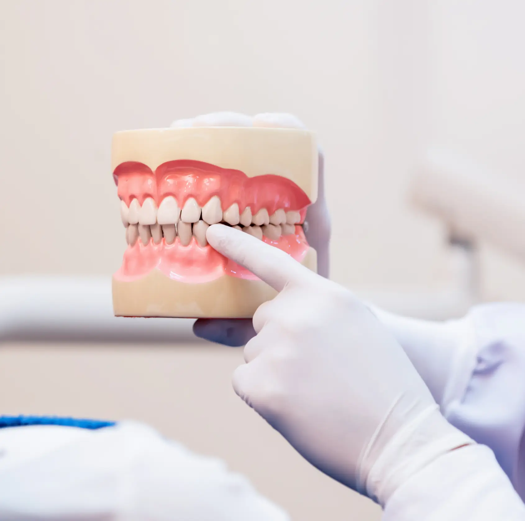 Gloved hands holding a dental model while pointing to the front teeth.