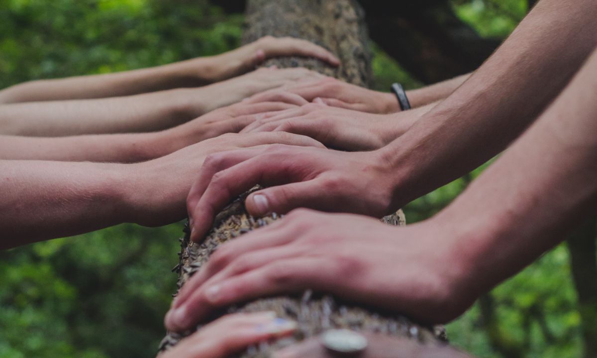 what are the benefits of group therapy