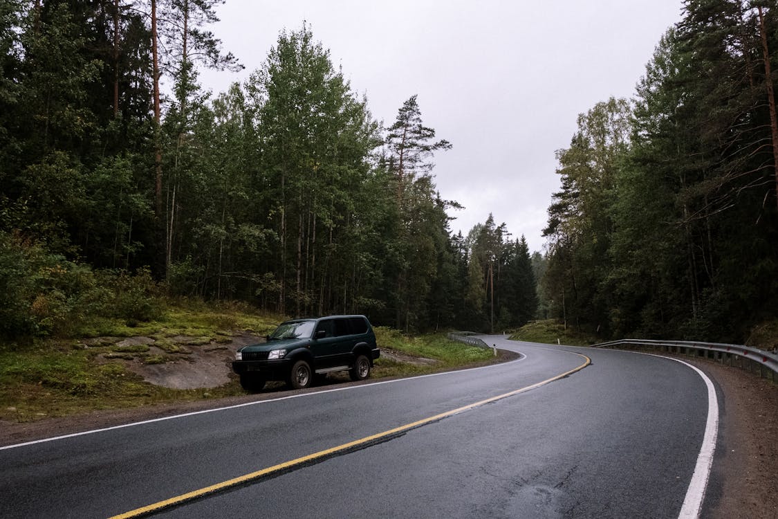 Free Black Suv on Roadside Between Green Trees Stock Photo
